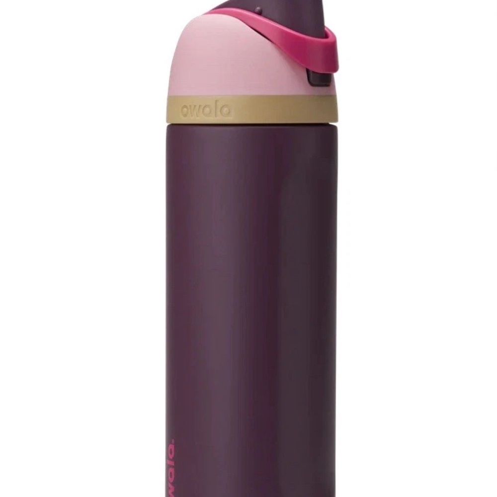 Owala 24oz Freesip Stainless Steel Water Bottle